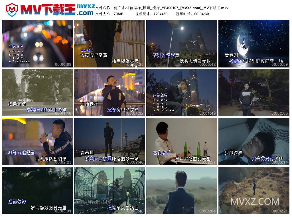 何广才-还能怎样_国语_流行_YF400107